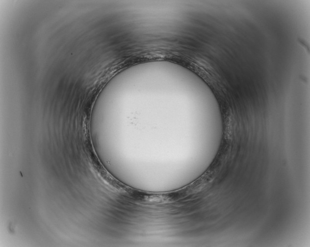X0000102850414200808181051