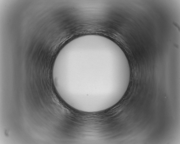 X0000102850415200808181051