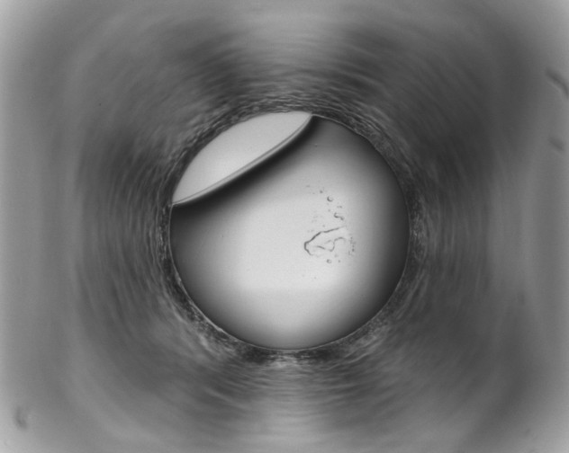 X0000102850416200808181051