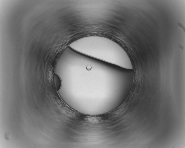 X0000102850417200808181051