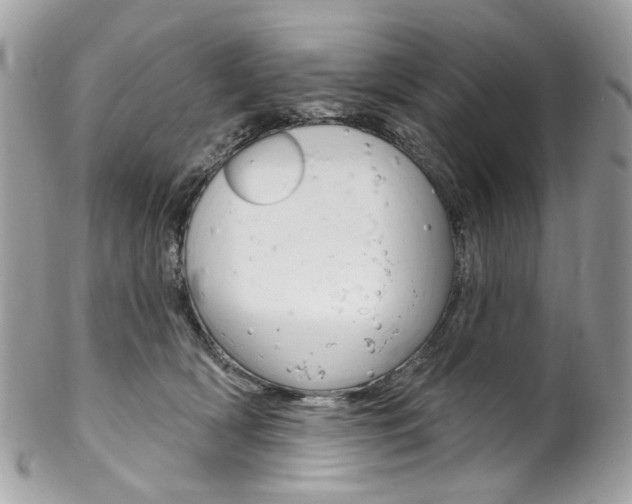 X0000102850418200808181051