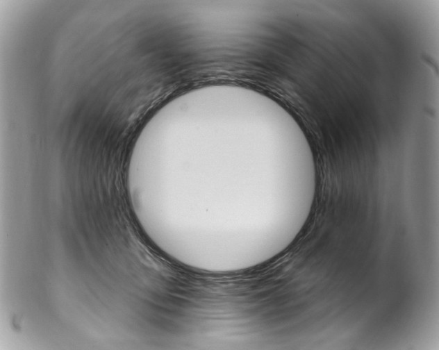 X0000102850419200808181051