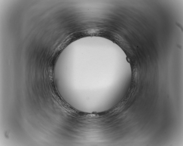 X0000102850421200808181051