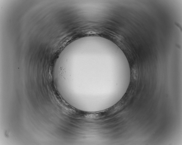 X0000102850422200808181051