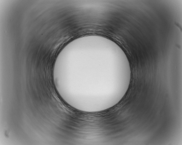 X0000102850423200808181051