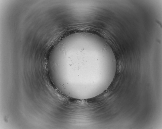 X0000102850424200808181051
