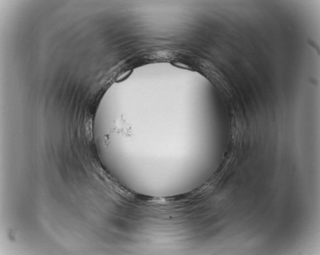 X0000102850425200808181051