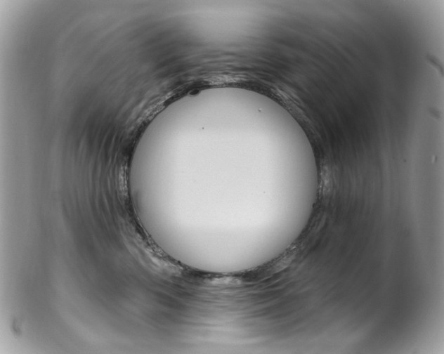 X0000102850426200808181051