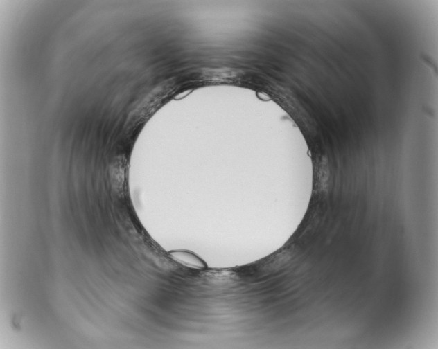 X0000102850427200808181051