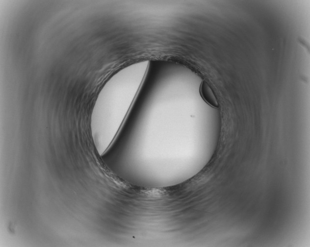 X0000102850432200808181051