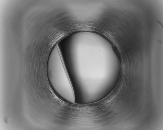 X0000102850433200808181050