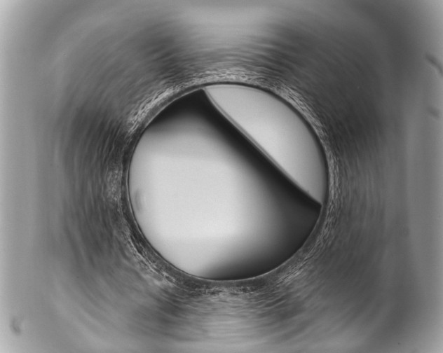 X0000102850434200808181050