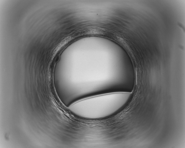 X0000102850435200808181050