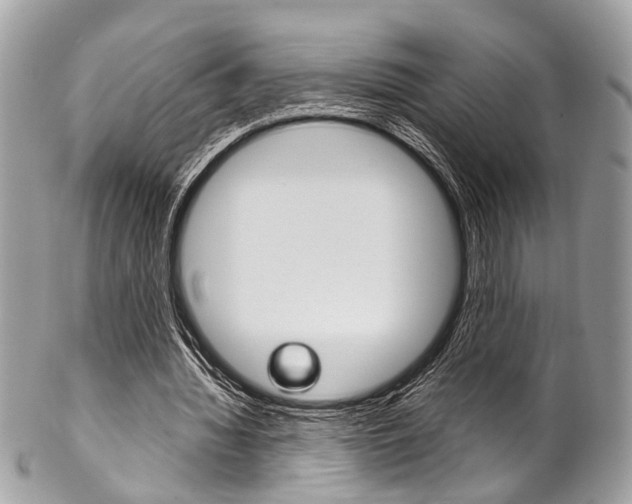 X0000102850436200808181050