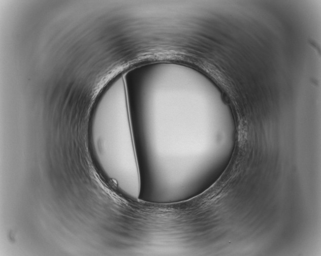 X0000102850438200808181050