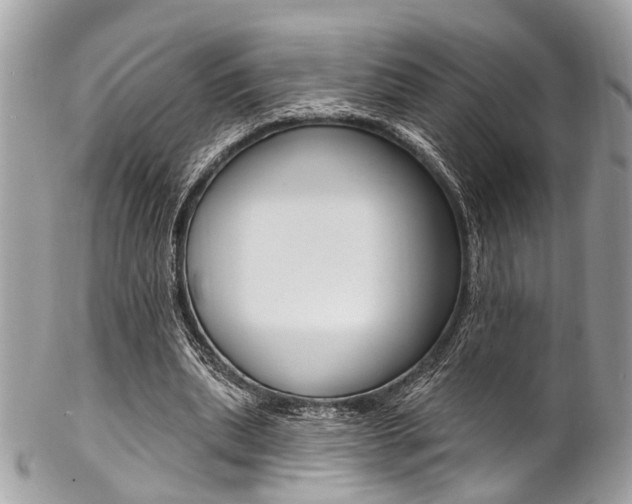X0000102850439200808181050