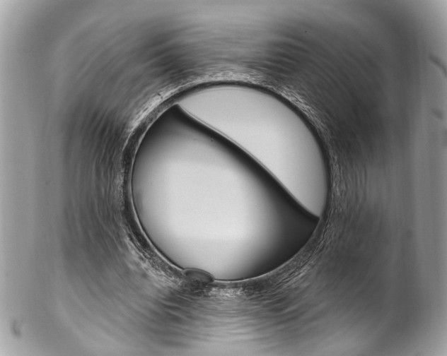 X0000102850440200808181050