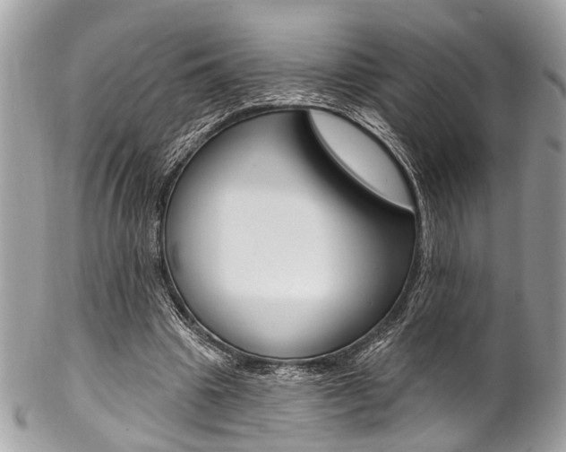 X0000102850441200808181050