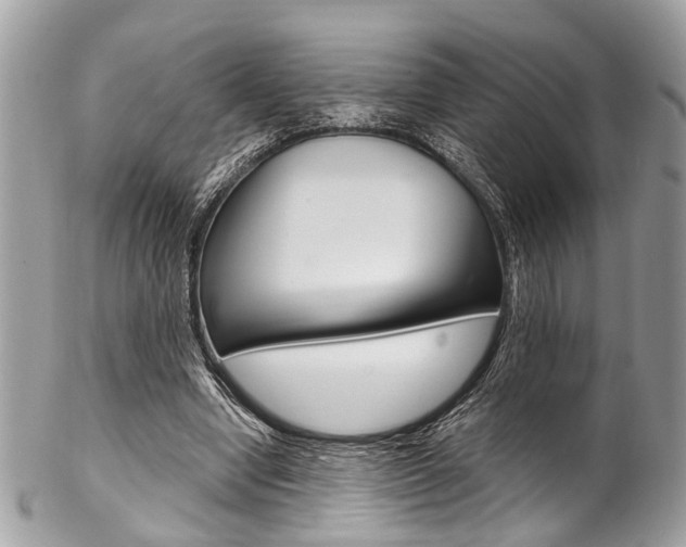 X0000102850442200808181050
