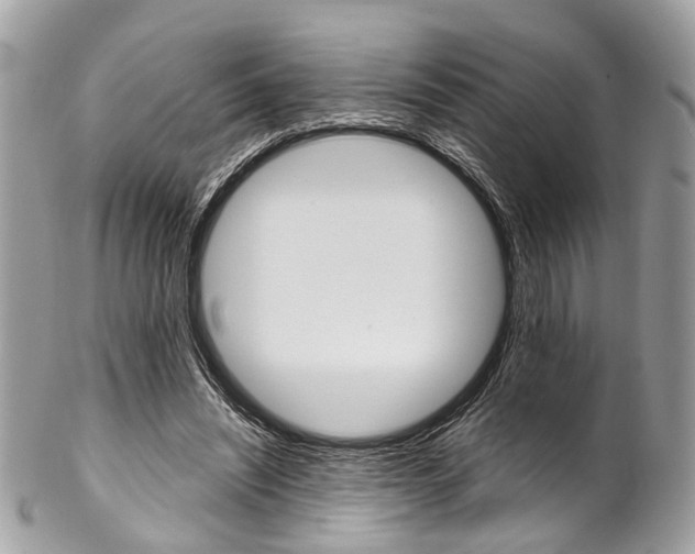 X0000102850444200808181050
