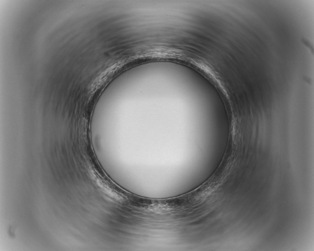 X0000102850445200808181050