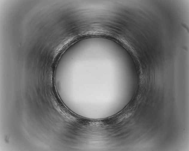 X0000102850446200808181050