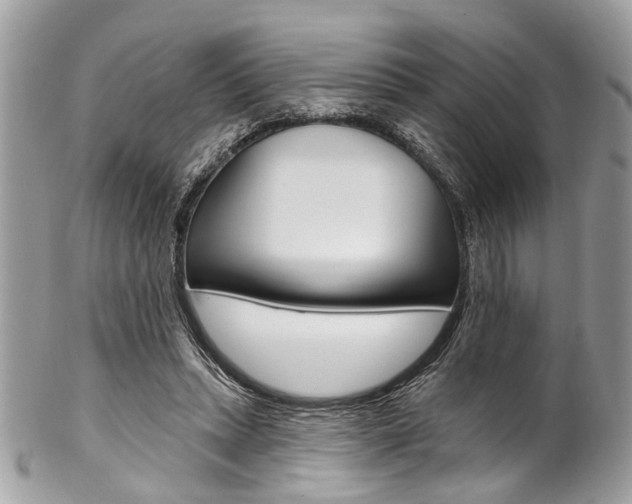 X0000102850447200808181050