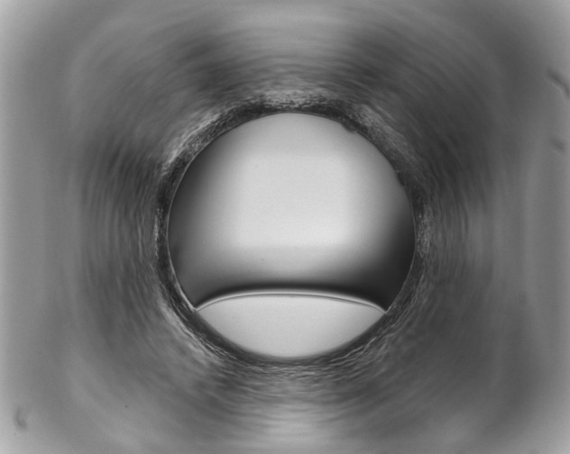 X0000102850448200808181050