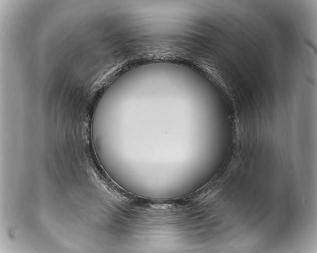 X0000102850450200808181050