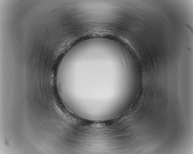 X0000102850451200808181050