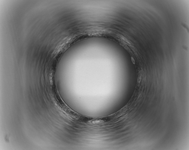 X0000102850452200808181051