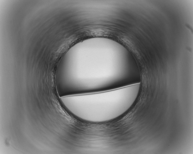 X0000102850453200808181051