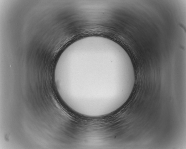 X0000102850456200808181051
