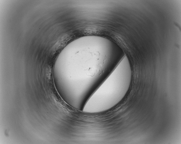 X0000102850458200808181051
