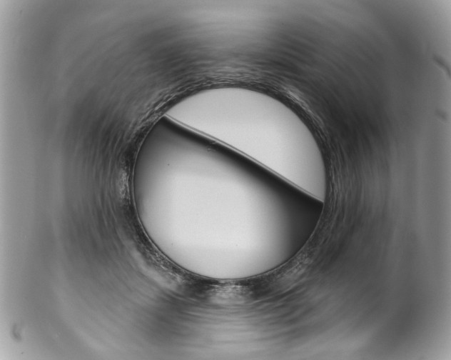 X0000102850459200808181051