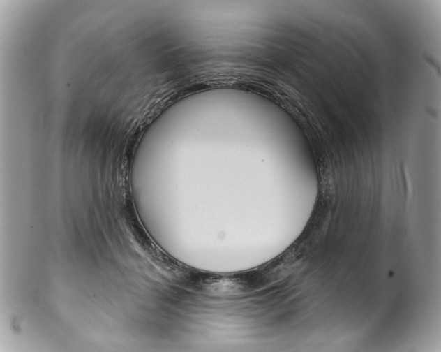X0000102850460200808181051