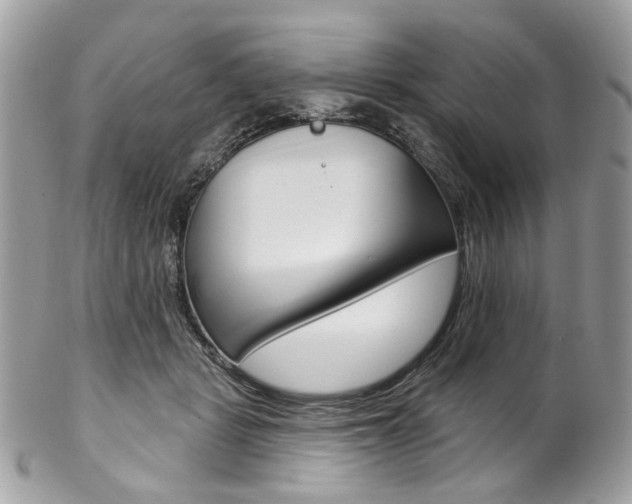 X0000102850461200808181051