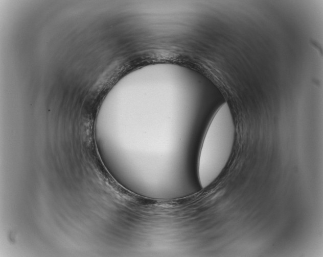 X0000102850462200808181051