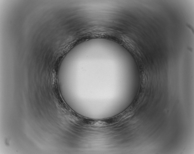 X0000102850463200808181051