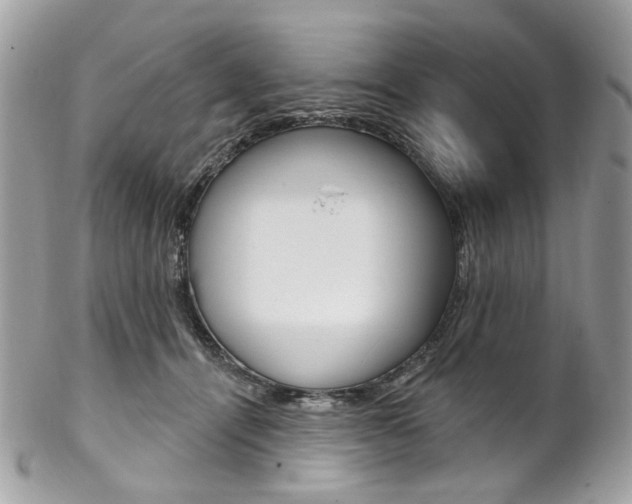 X0000102850464200808181051