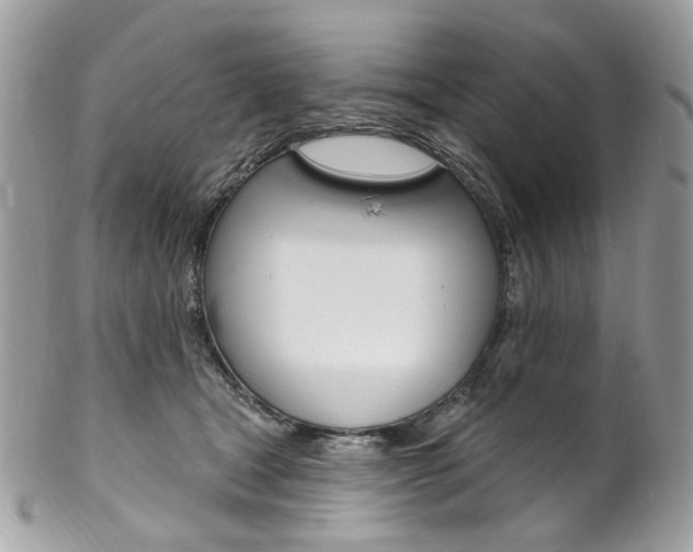X0000102850465200808181051