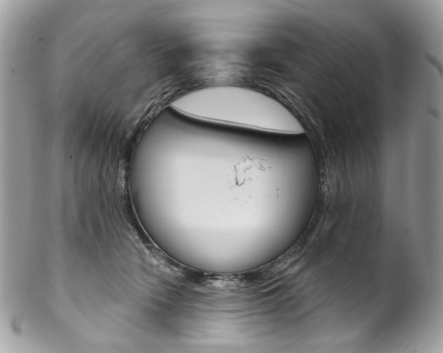 X0000102850466200808181051
