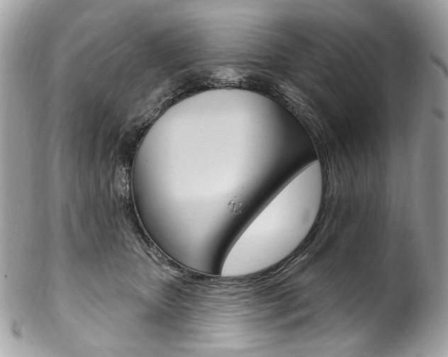 X0000102850467200808181051