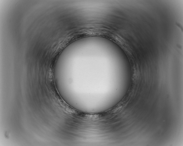 X0000102850469200808181051