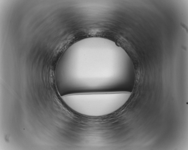 X0000102850470200808181051
