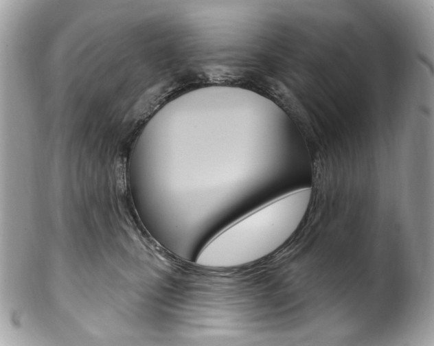 X0000102850471200808181051
