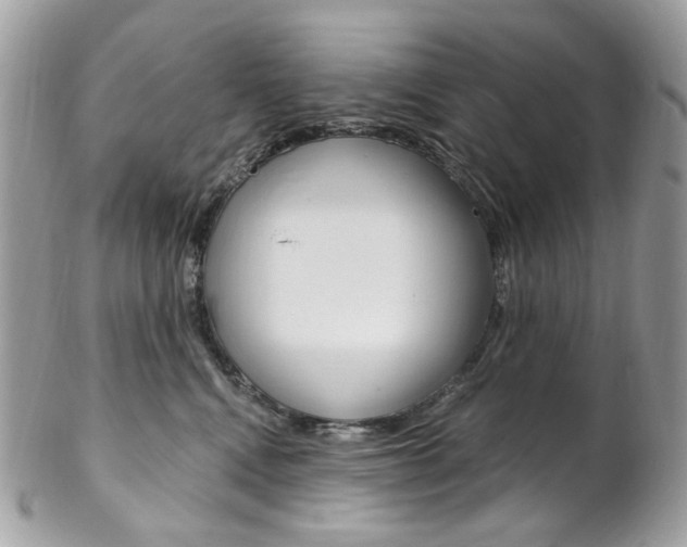 X0000102850472200808181051