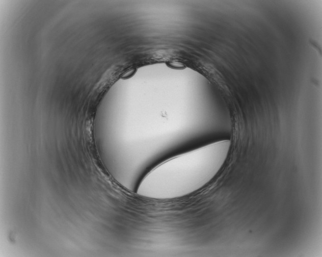 X0000102850473200808181051