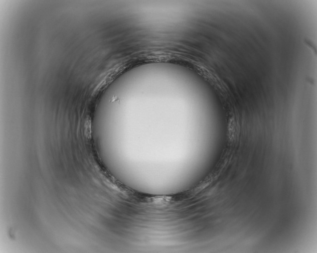 X0000102850474200808181051