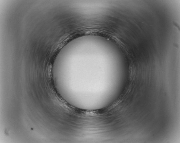 X0000102850475200808181051